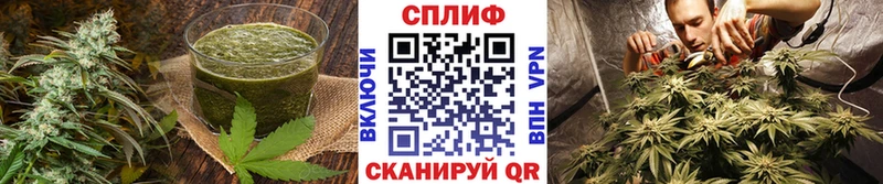 как найти закладки  Тутаев  Печенье с ТГК марихуана 