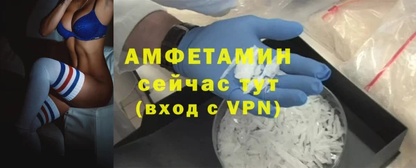 ГАЛЛЮЦИНОГЕННЫЕ ГРИБЫ Ладушкин
