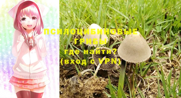ПСИЛОЦИБИНОВЫЕ ГРИБЫ Верхний Тагил