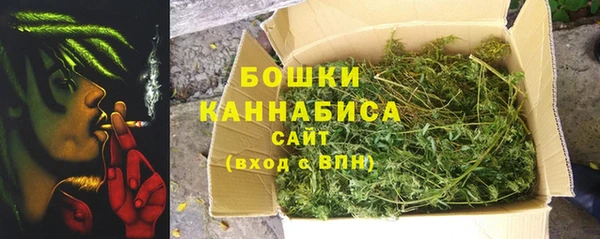 ПСИЛОЦИБИНОВЫЕ ГРИБЫ Лабытнанги