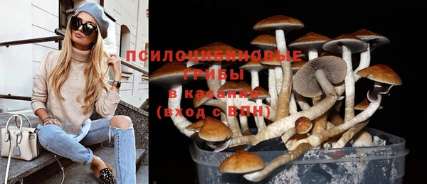 стафф Лагань