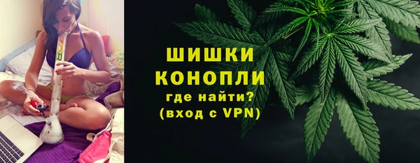 дживик Чита