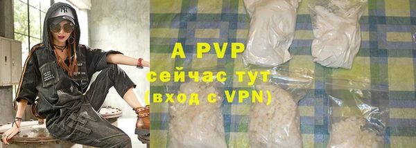 ГАЛЛЮЦИНОГЕННЫЕ ГРИБЫ Ладушкин