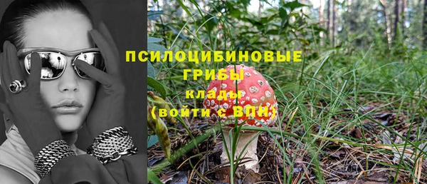 ПСИЛОЦИБИНОВЫЕ ГРИБЫ Лабытнанги