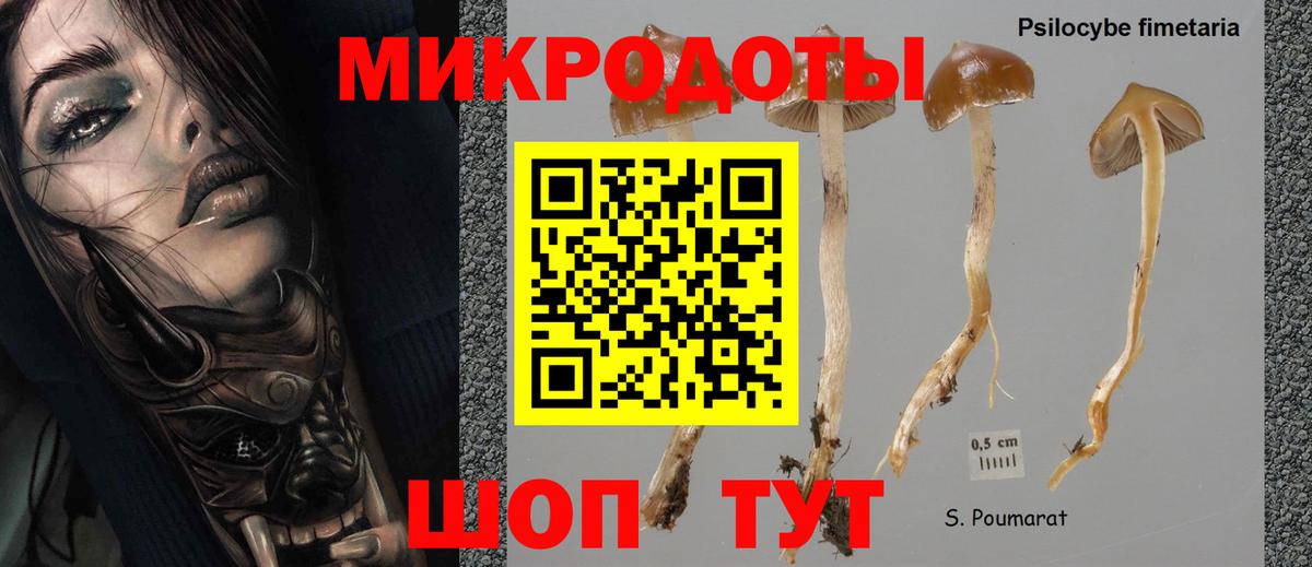Псилоцибиновые грибы Magic Shrooms Тутаев